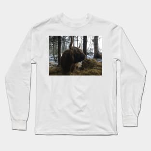 Scottish Highland Cattle Cow 2191 Long Sleeve T-Shirt